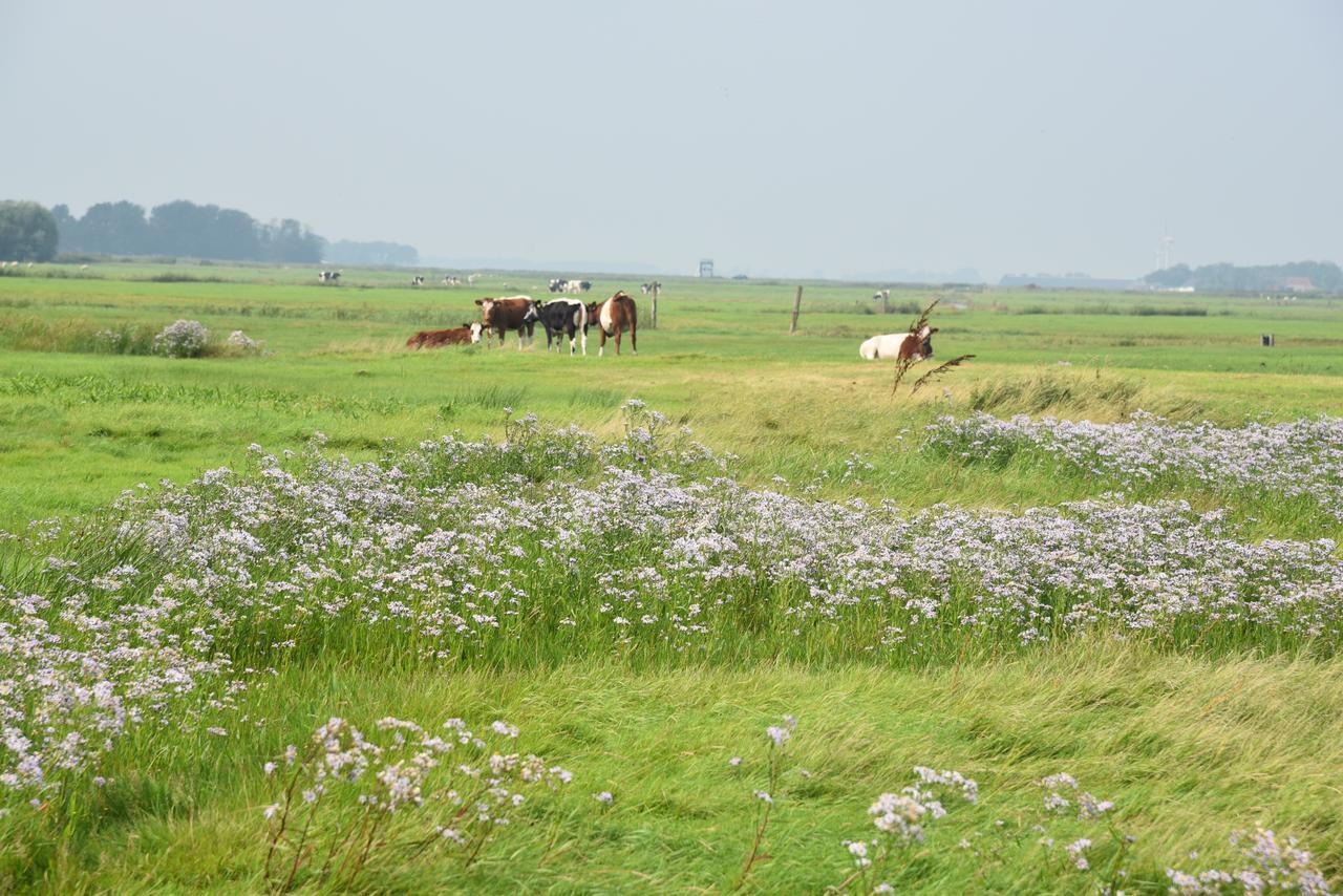 Countryside Eco Natuurhuisjes Ee ภายนอก รูปภาพ