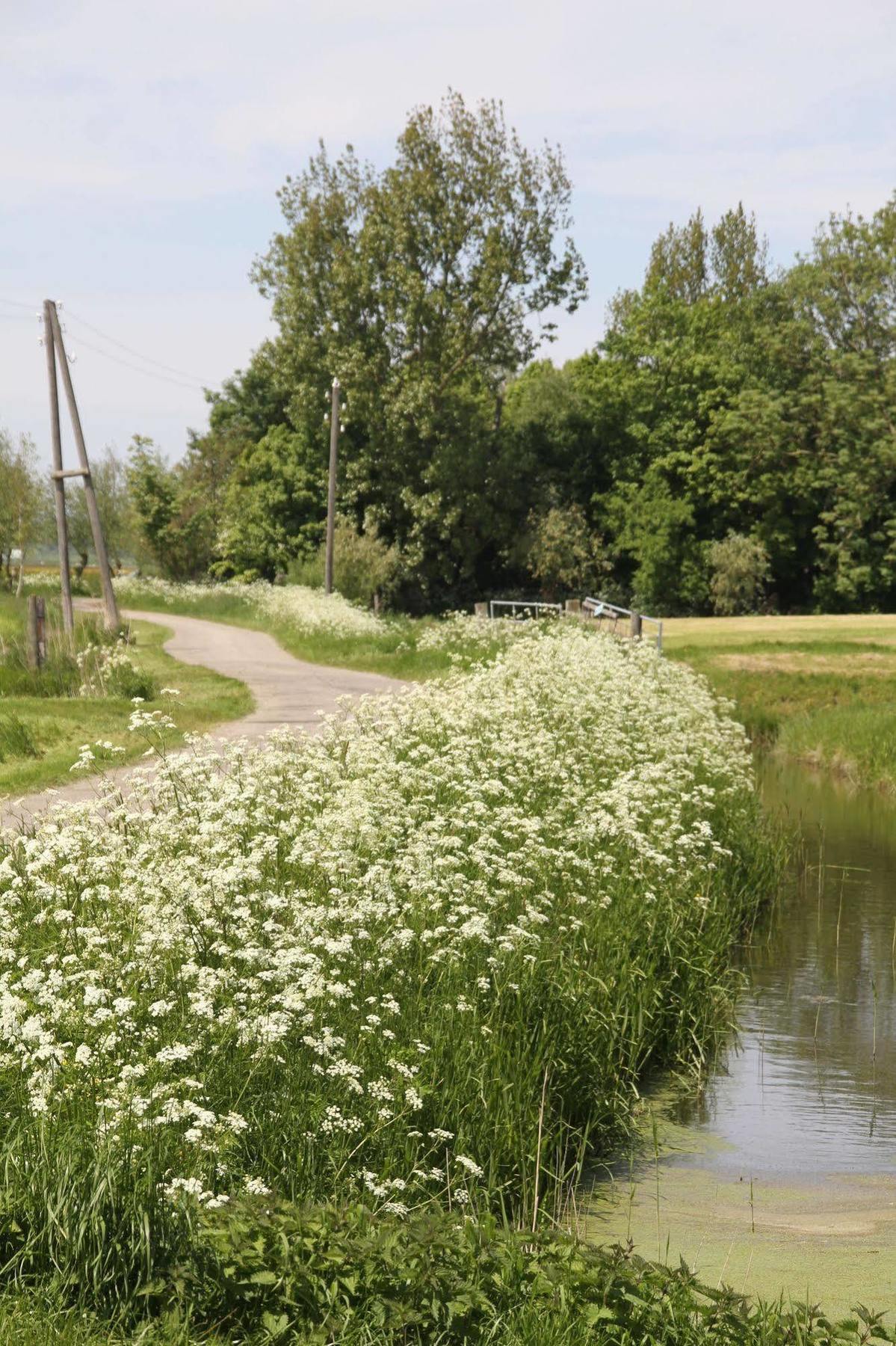 Countryside Eco Natuurhuisjes Ee ภายนอก รูปภาพ