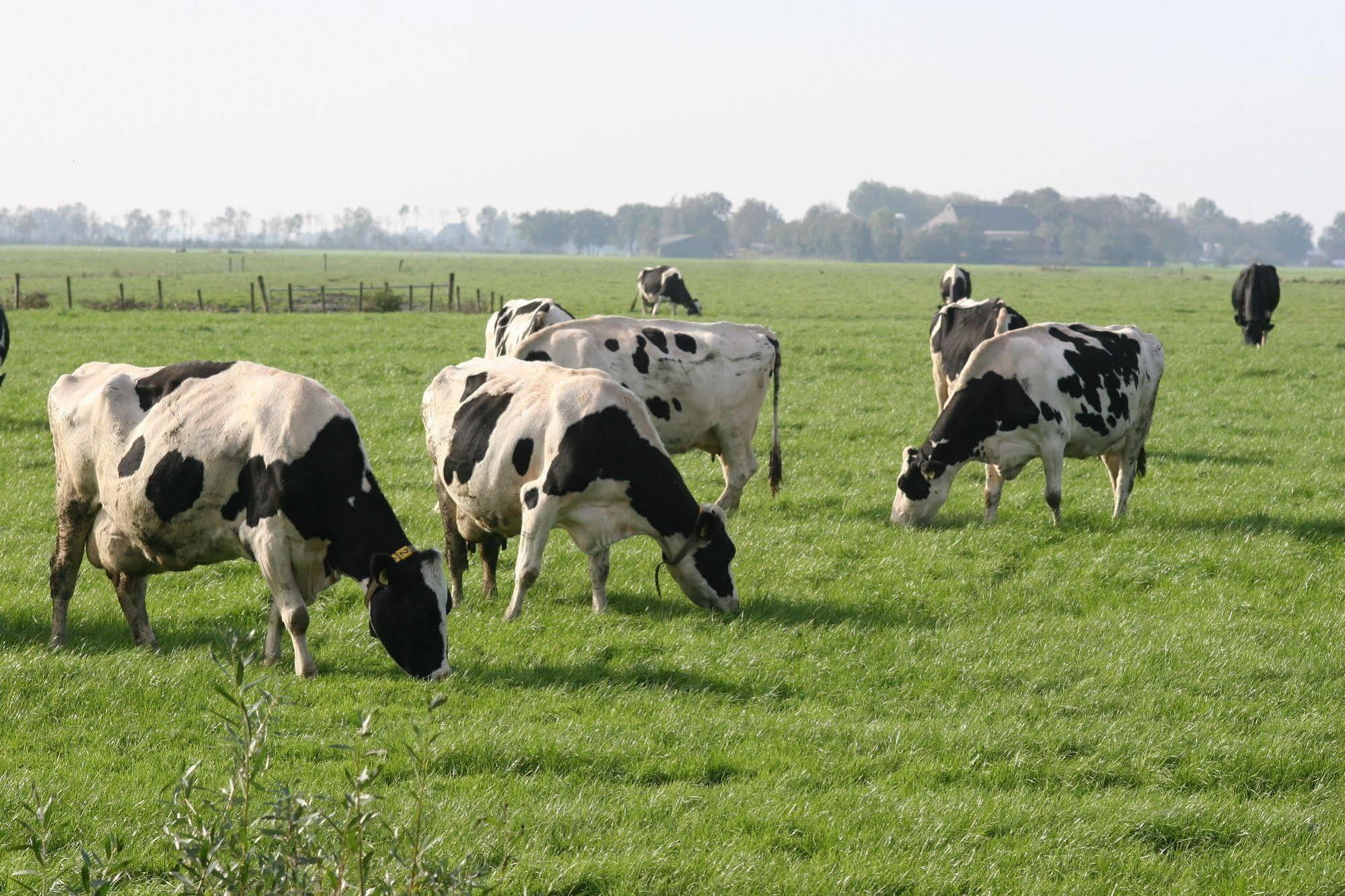 Countryside Eco Natuurhuisjes Ee ภายนอก รูปภาพ